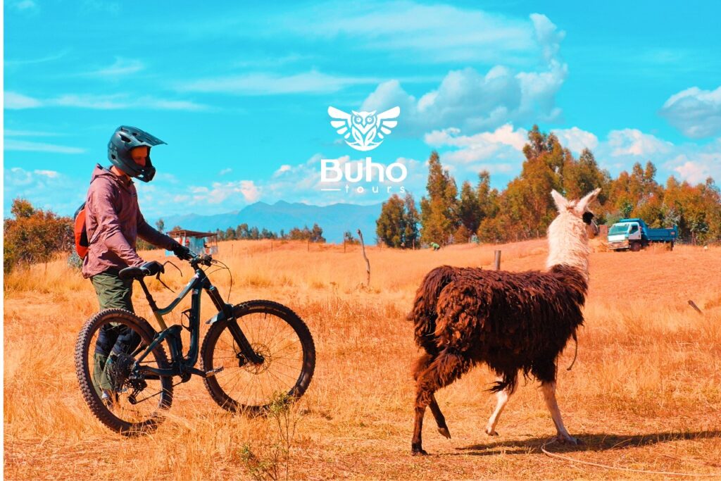 huayllarcocha mountain bike tours trails cusco peru